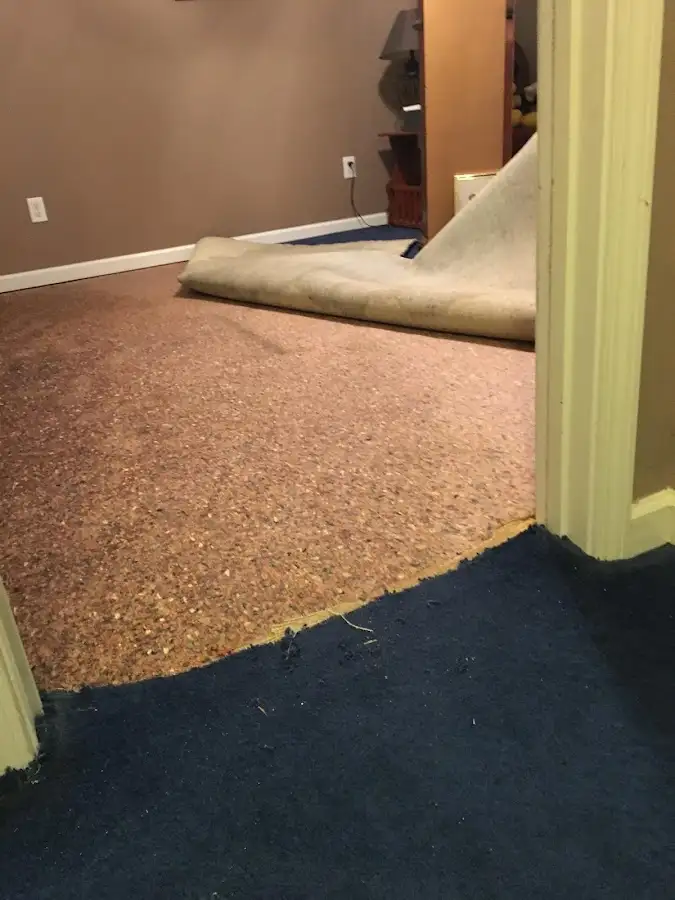 Carpet pad removal revealing water damage during Drying & Dehumidification in Ormond Beach
