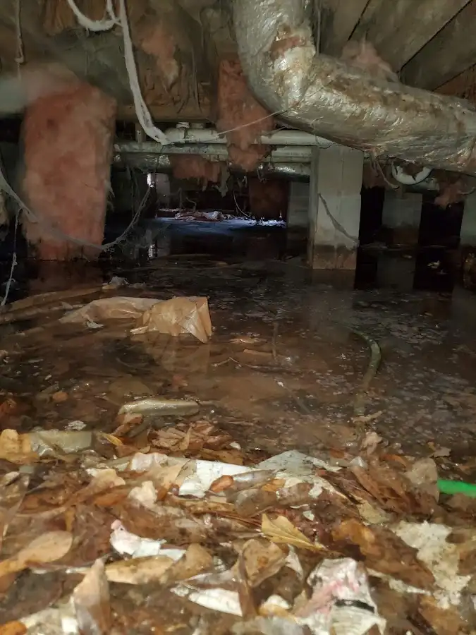 Crawl space flood assessment for Leak Detection & Repair in Ormond Beach